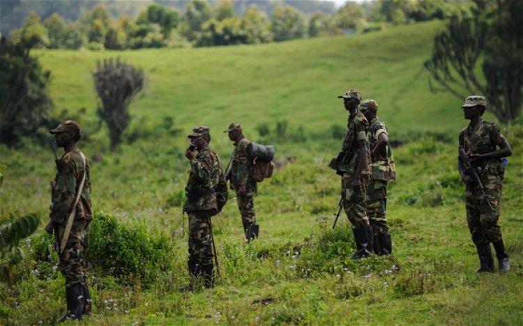 RDC: BISHOBORA KUBA BIBI CYANE KURI M23 IDACUNZE NEZA.